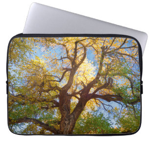Housse Pour Ordinateur Portable Arbre de Cottonwood Parc national de Capitol Ree