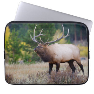Housse Pour Ordinateur Portable Arbres de taureaux et d'Aspen Parc national des