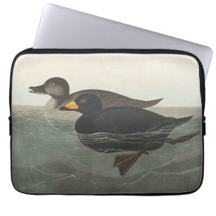 Housse Pour Ordinateur Portable Art vintage d'Audubon sur le canard scoter américa
