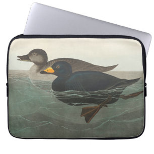Housse Pour Ordinateur Portable Audubon American Scoter Duck Classic