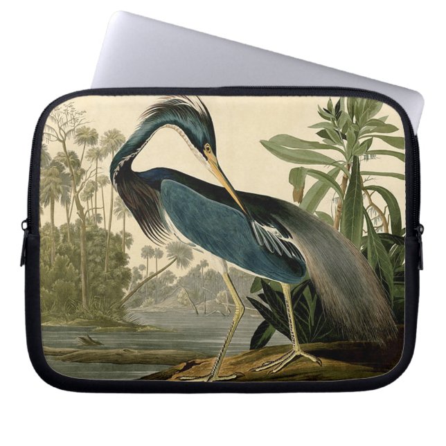 Housse Pour Ordinateur Portable Audubon Louisiana Heron (Devant)