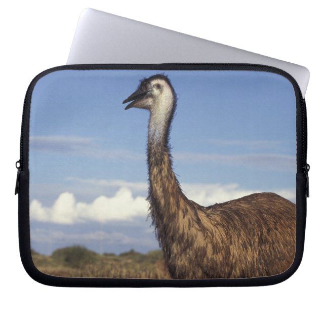 Housse Pour Ordinateur Portable Australie, Australie occidentale. Émeu (Dromaius (Devant)