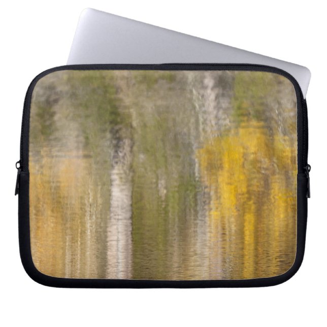 Housse Pour Ordinateur Portable Automne Abstrait (Devant)