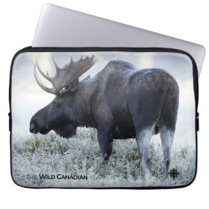 Housse Pour Ordinateur Portable Automne - Oie