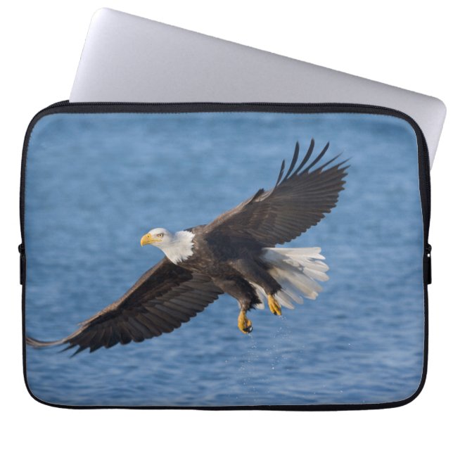 Housse Pour Ordinateur Portable Bald eagle in flight (Devant)