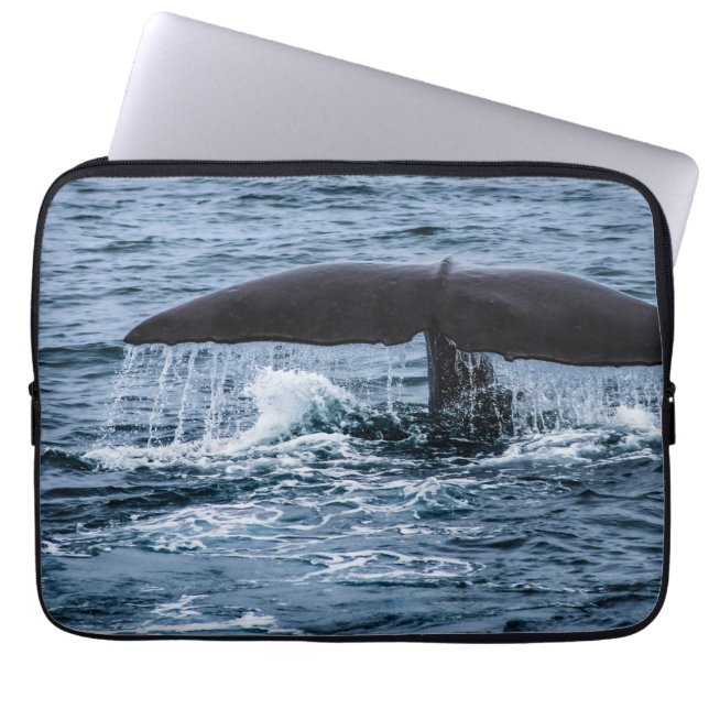 Housse Pour Ordinateur Portable Baleine de Sperm (Devant)