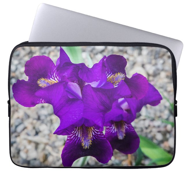 Housse Pour Ordinateur Portable Belle iris violet (Devant)