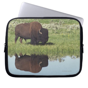 Housse Pour Ordinateur Portable Bison (bison de bison) sur le pré herbeux