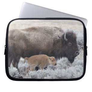 Housse Pour Ordinateur Portable Bison de vache et de veau, Yellowstone