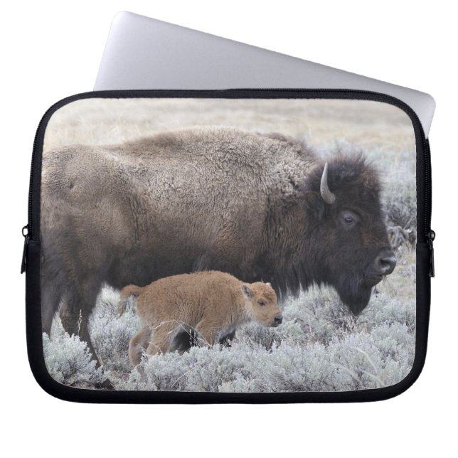Housse Pour Ordinateur Portable Bison vache et veau, Yellowstone (Devant)