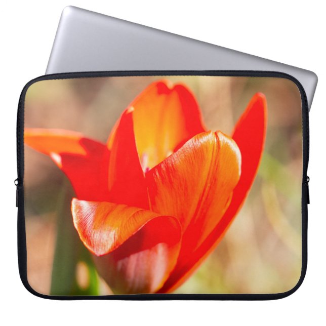 Housse Pour Ordinateur Portable Blossom de la tulipe rouge (Devant)