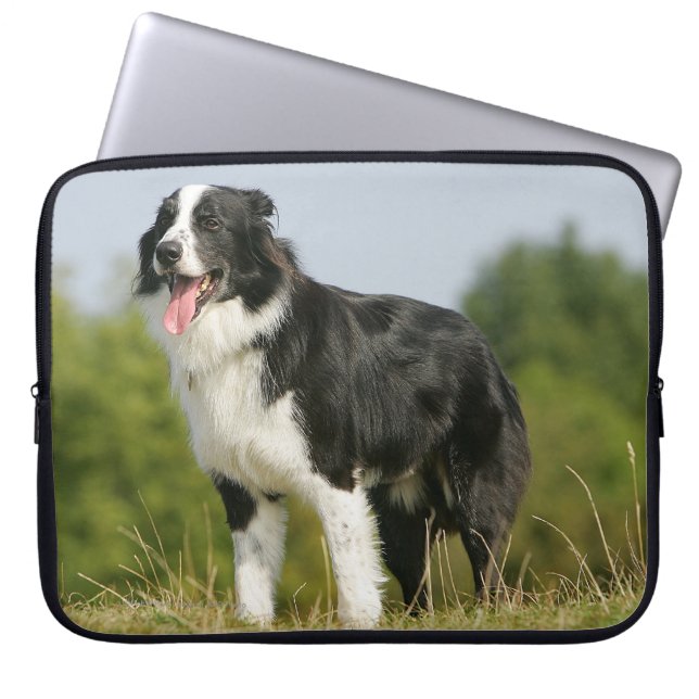 Housse Pour Ordinateur Portable Border collie haletant la position (Devant)