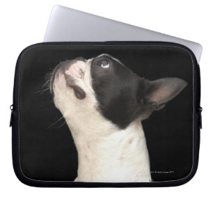 Housse Pour Ordinateur Portable Boston noir et blanc Terrier recherchant
