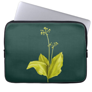 Housse Pour Ordinateur Portable Botanique d'ail sauvage Plante vert