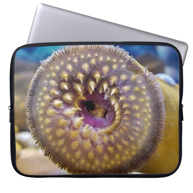 Housse Pour Ordinateur Portable Bouche de lamproie marine (Devant)