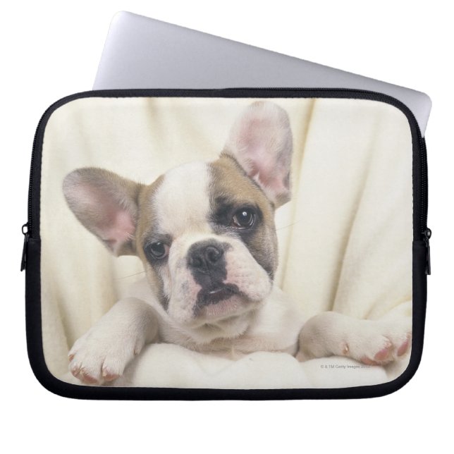 Housse Pour Ordinateur Portable Bouledogue anglais (Devant)