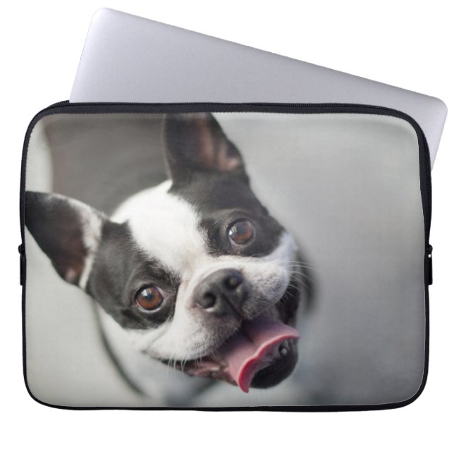 Housse Pour Ordinateur Portable Bouledogue français des images | de Getty (Devant)