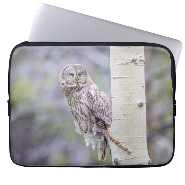 Housse Pour Ordinateur Portable Branche d'arbre d'astre gris (Devant)