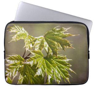 Housse Pour Ordinateur Portable Branche d'érable vert mignon avec petits feuilles