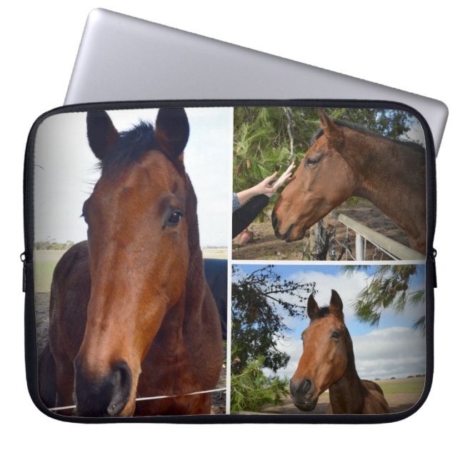 Housse Pour Ordinateur Portable Brown Horses (Devant)