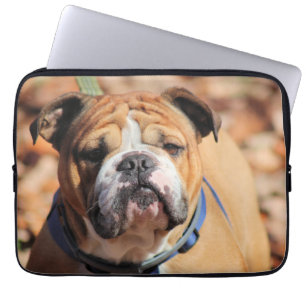 Housse Pour Ordinateur Portable Buddy Bulldog