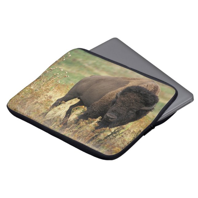 Housse Pour Ordinateur Portable Buffalo (Devant haut)