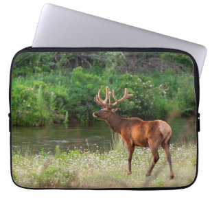 Housse Pour Ordinateur Portable Bull Elk dans la chaîne nationale de bisons, Monta