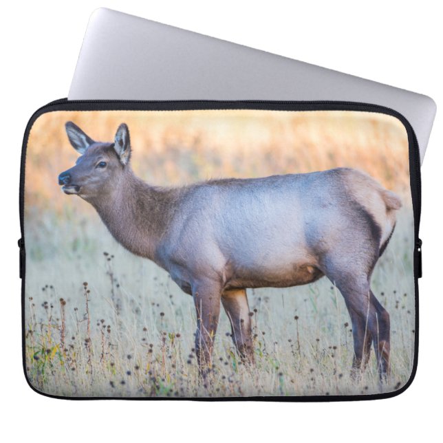 Housse Pour Ordinateur Portable Calf Elk | Madison Junction, Wyoming (Devant)