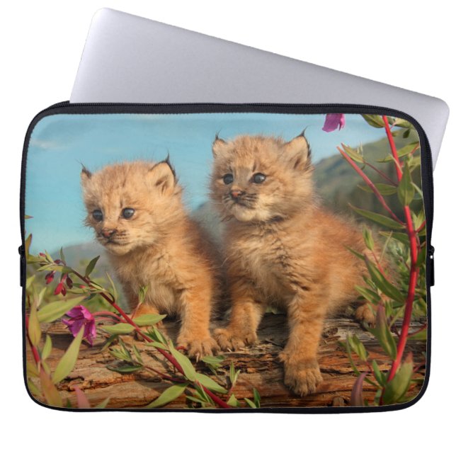 Housse Pour Ordinateur Portable Canadian Lynx Kittens, Alaska (Devant)