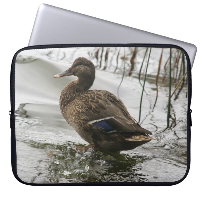 Housse Pour Ordinateur Portable Canard gris sur la nuit du lac (Devant)