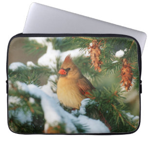 Housse Pour Ordinateur Portable Cardinal du Nord dans un arbre, Illinois