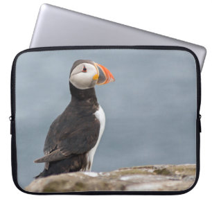 Housse Pour Ordinateur Portable Cas de macareux