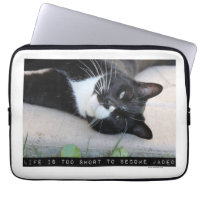 Cat non Jaded Motivational Advice Cat