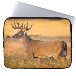 Housse Pour Ordinateur Portable Cerf à queue blanche Sud TX
