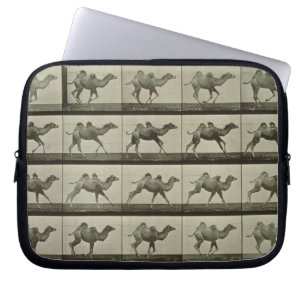 Housse Pour Ordinateur Portable Chameau, plat "de la locomotion animale", 1887