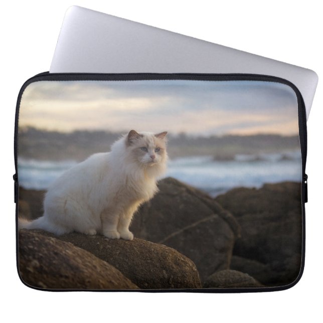 Housse Pour Ordinateur Portable Chat de Ragdoll à la plage (Devant)