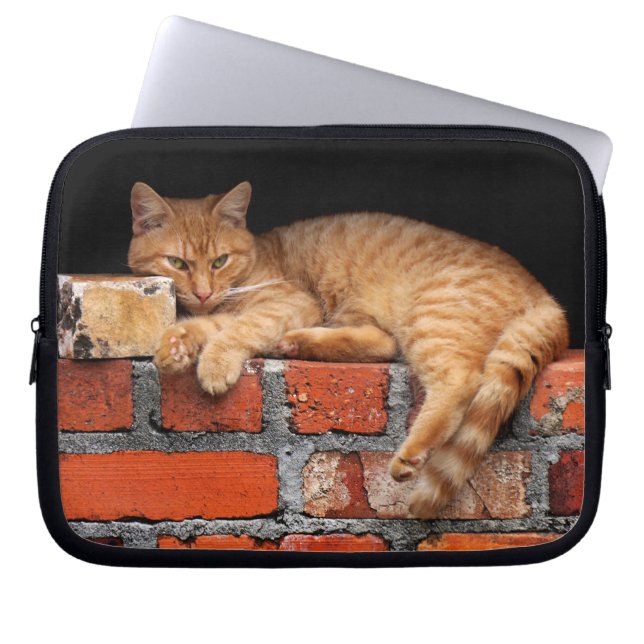 Housse Pour Ordinateur Portable Chat sur mur de brique (Devant)