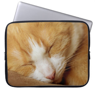 Housse Pour Ordinateur Portable Chaton couchant
