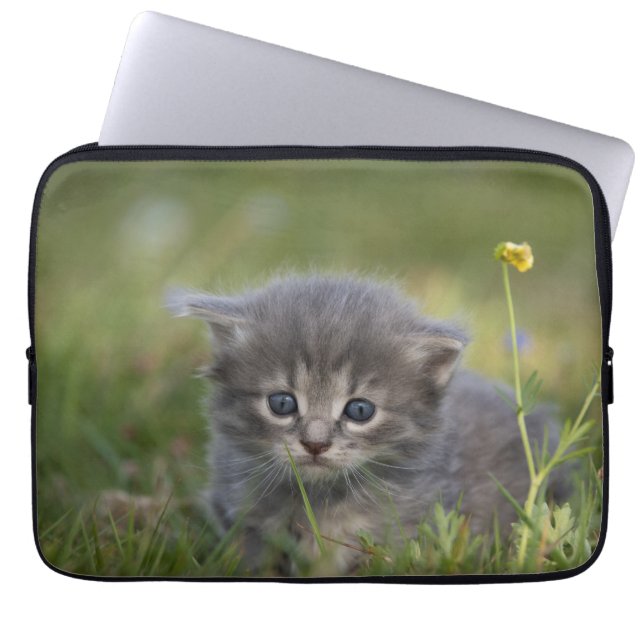 Housse Pour Ordinateur Portable Chaton Personnalisé Mignon (Devant)