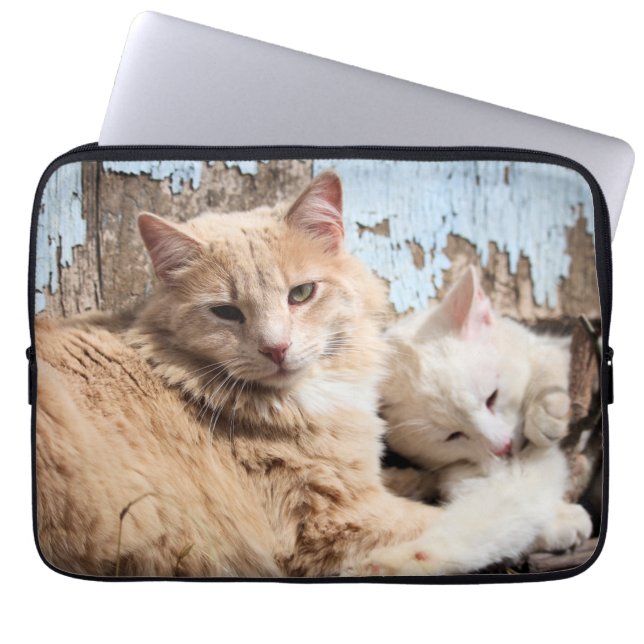 Housse Pour Ordinateur Portable Chats (Devant)