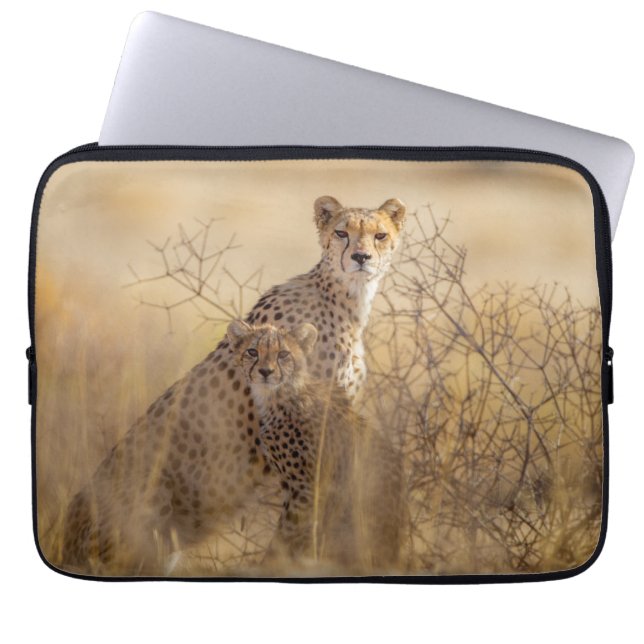 Housse Pour Ordinateur Portable Cheetahs (Devant)