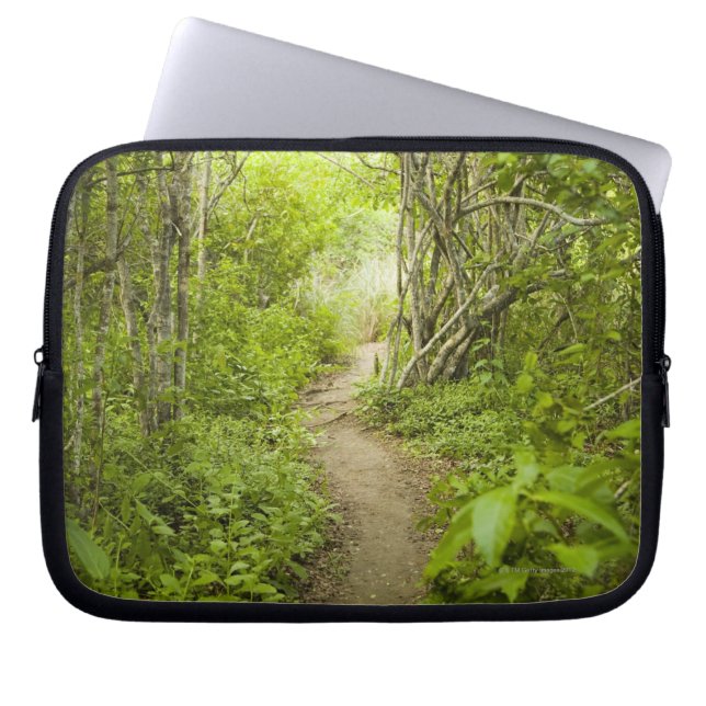 Housse Pour Ordinateur Portable Chemin à travers la forêt (Devant)