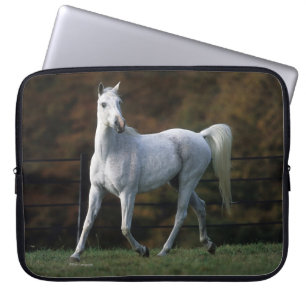 Housse Pour Ordinateur Portable Cheval arabe courant 1