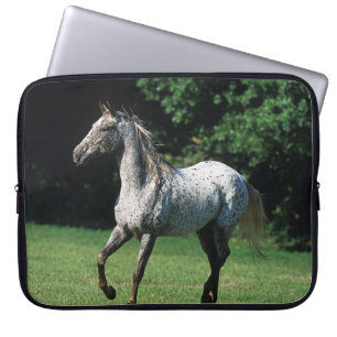 Housse Pour Ordinateur Portable Cheval d'Appaloosa courant 2