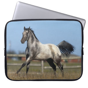 Housse Pour Ordinateur Portable Cheval d'Appaloosa courant 3