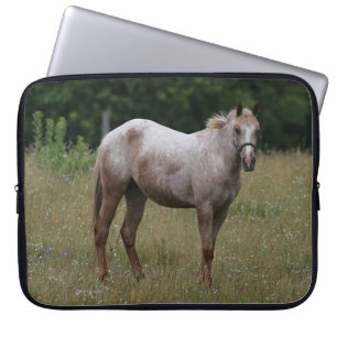 Housse Pour Ordinateur Portable Cheval d'Appaloosa se tenant dans l'herbe