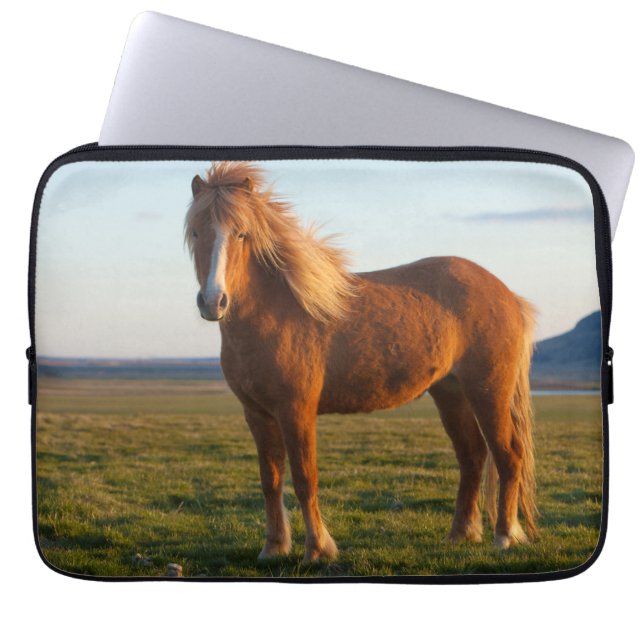 Housse Pour Ordinateur Portable Cheval islandais au soleil couchant (Devant)