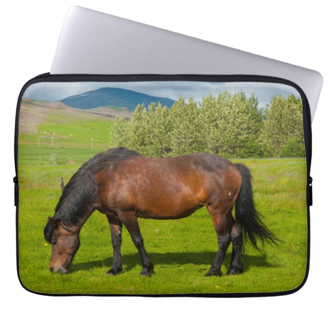 Housse Pour Ordinateur Portable Cheval islandais de Mossfellsbaer (Devant)