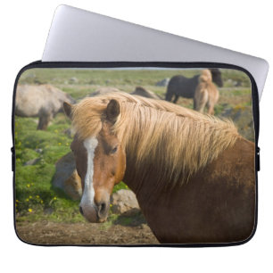Housse Pour Ordinateur Portable Chevaux islandais dans le nord-est de l'Islande
