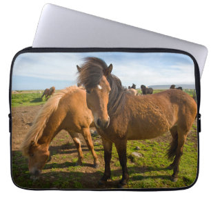 Housse Pour Ordinateur Portable Chevaux islandais paissent